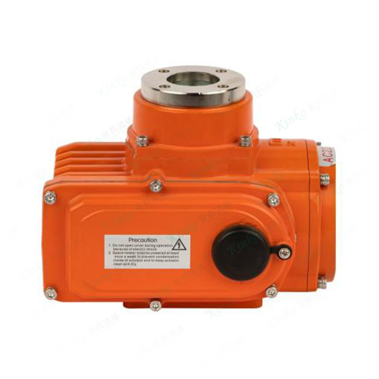 Explosion-proof electric actuator